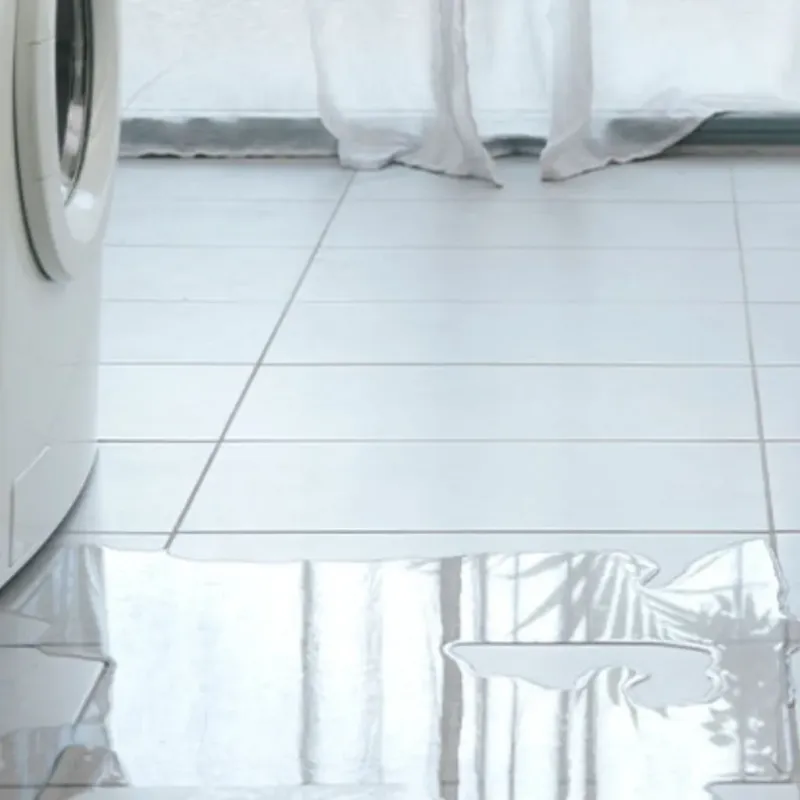 Appliance Leak Cleanup in Roland, IA