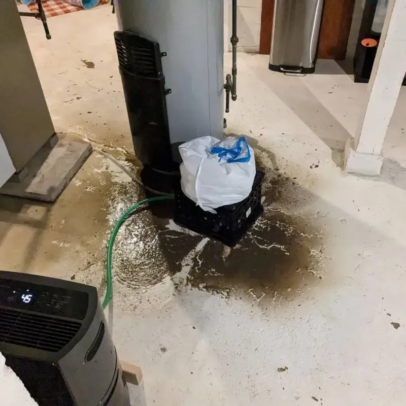 Sewage Backup Cleanup Service in Roland, IA